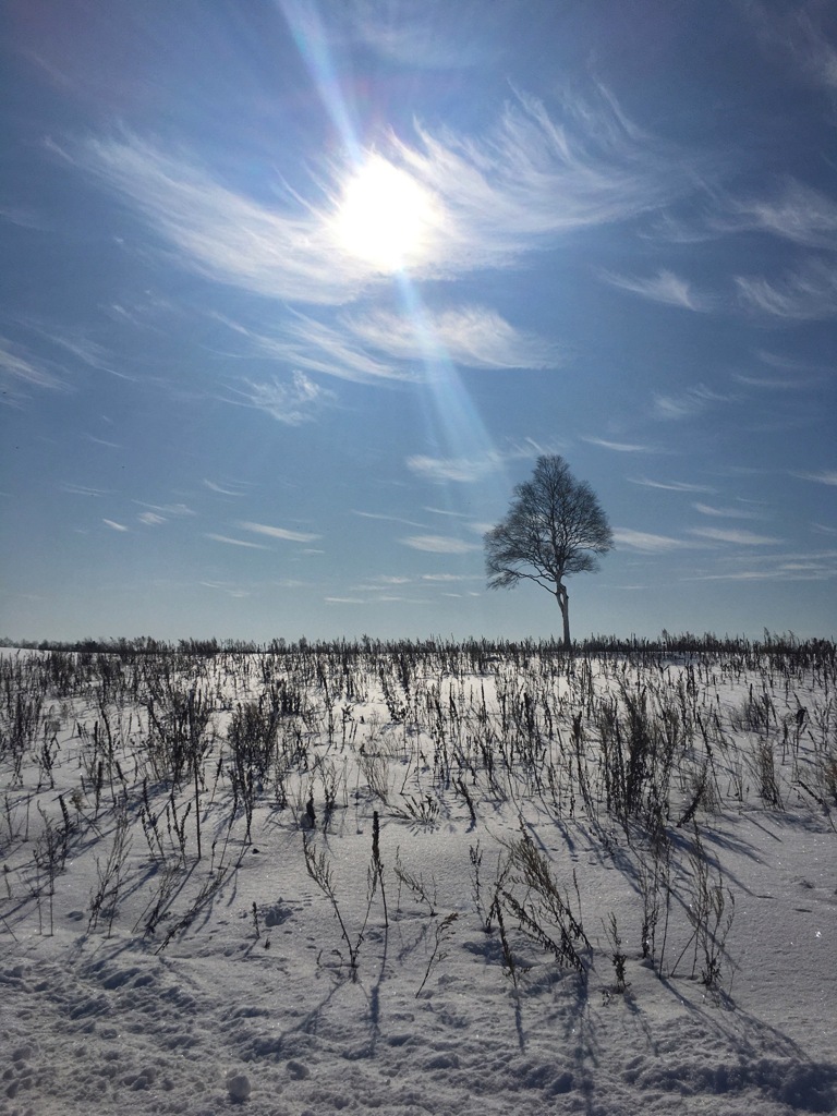 winter morning