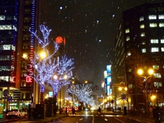 雪が舞う街にて