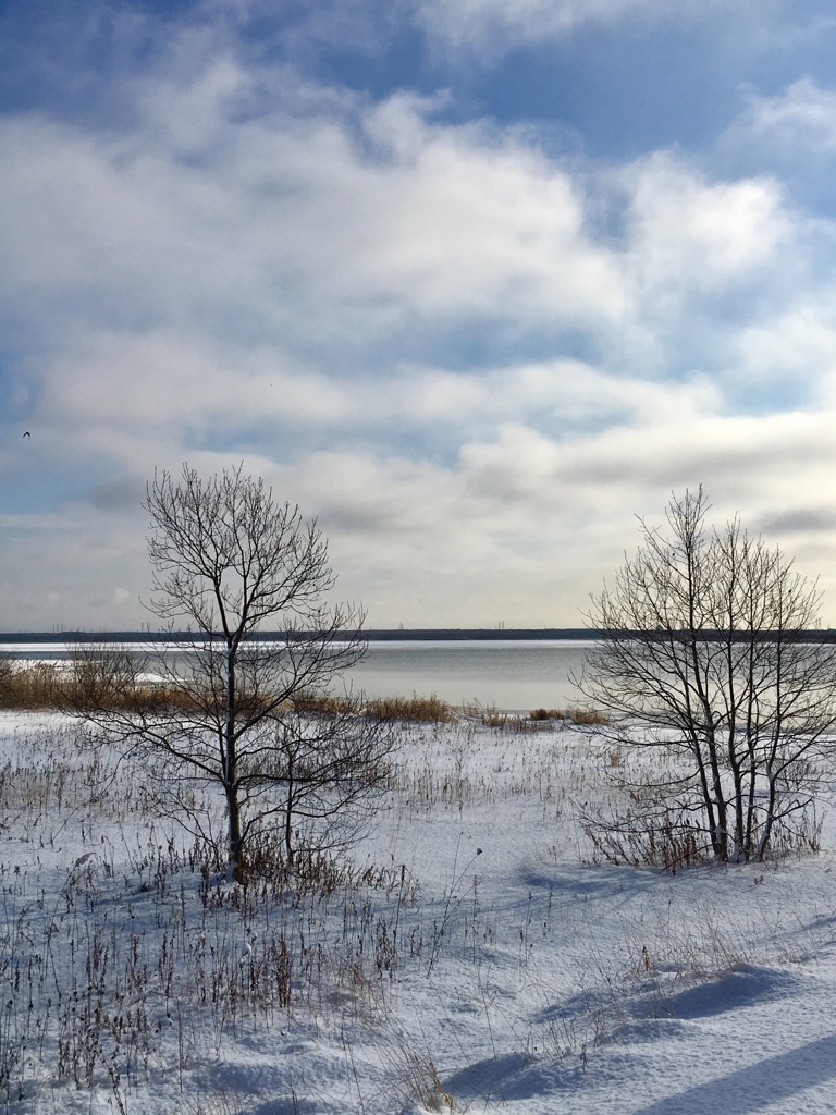 winter comes