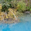 水辺にて