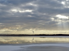 冬・ウトナイ湖