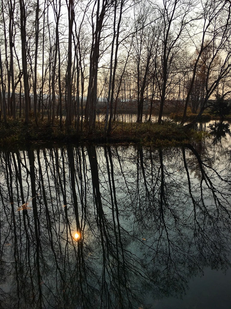 UNTITLED