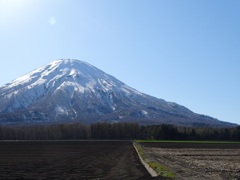 春・羊蹄山