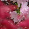 spring dance