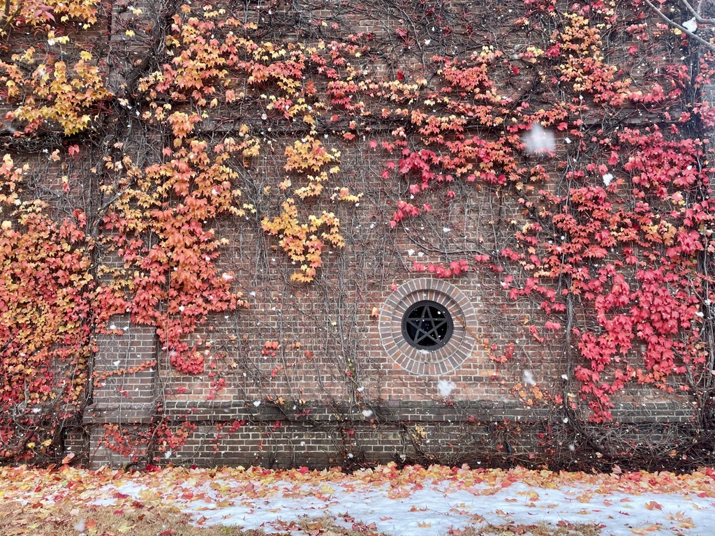 秋に舞い冬が来る　