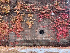 秋に舞い冬が来る　