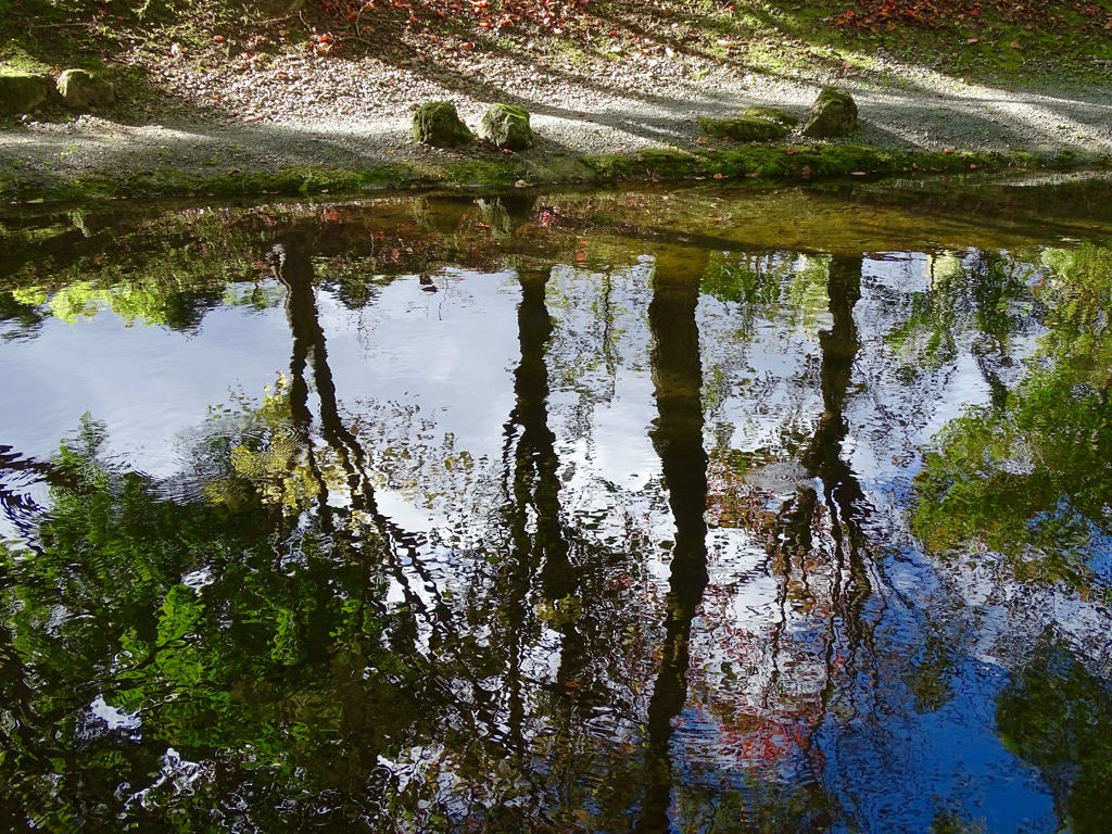 reflection