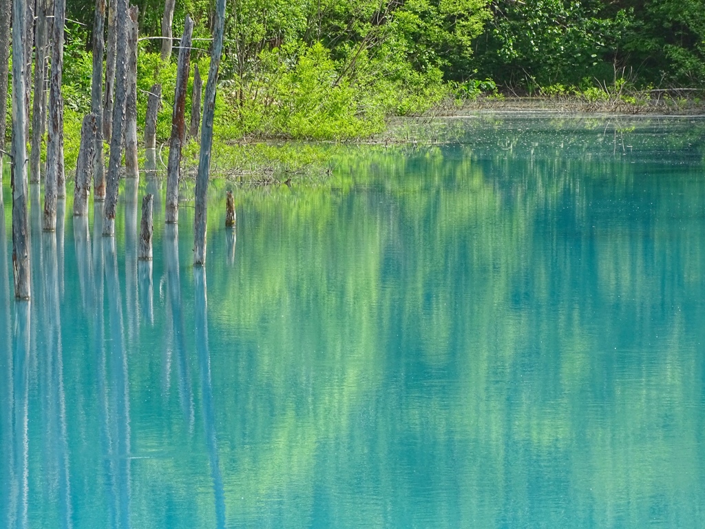 水と緑の