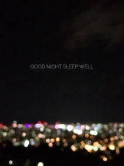 Good  night. Sleep well.