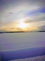 雪原