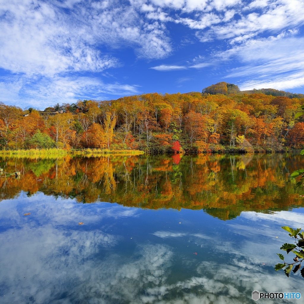 秋の丸池