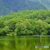 新緑の鏡池