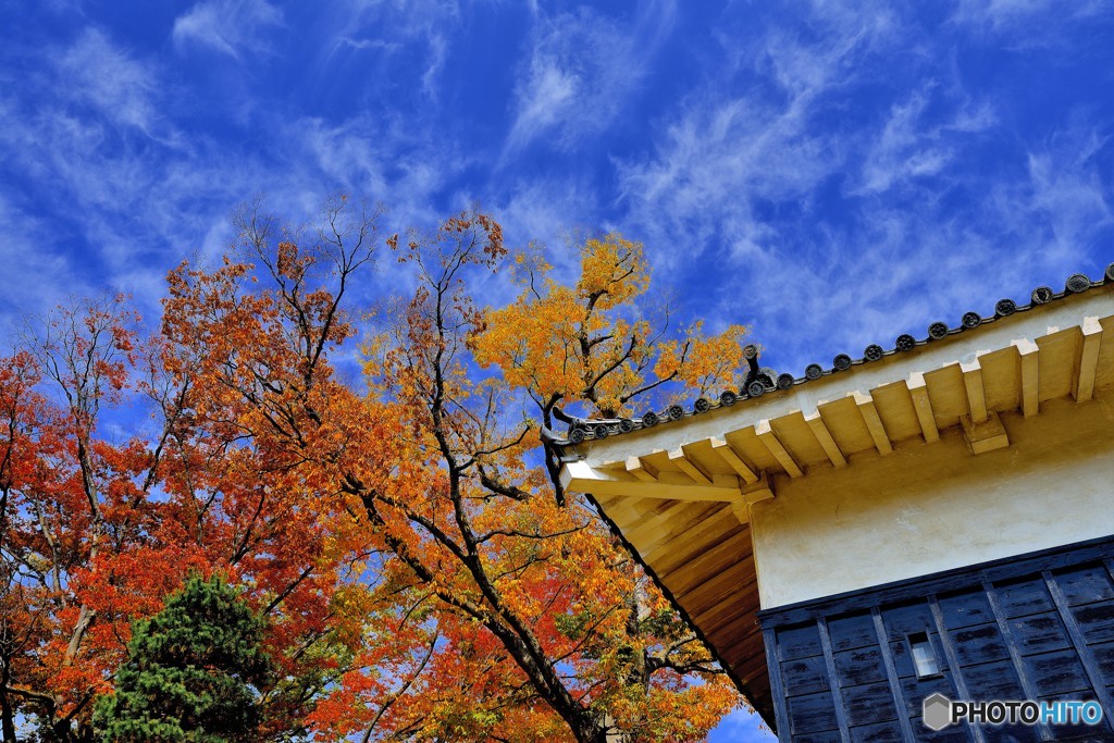 青空と紅葉