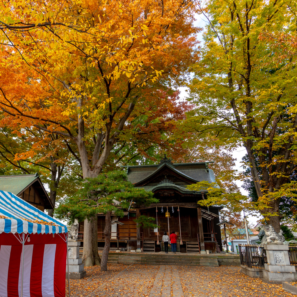 秋の神社