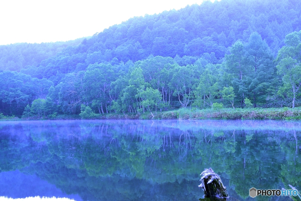 早朝の水辺