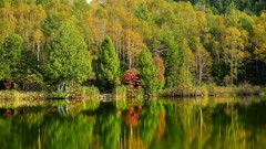秋の木戸池