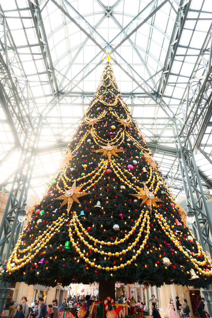 TDL クリスマスツリー