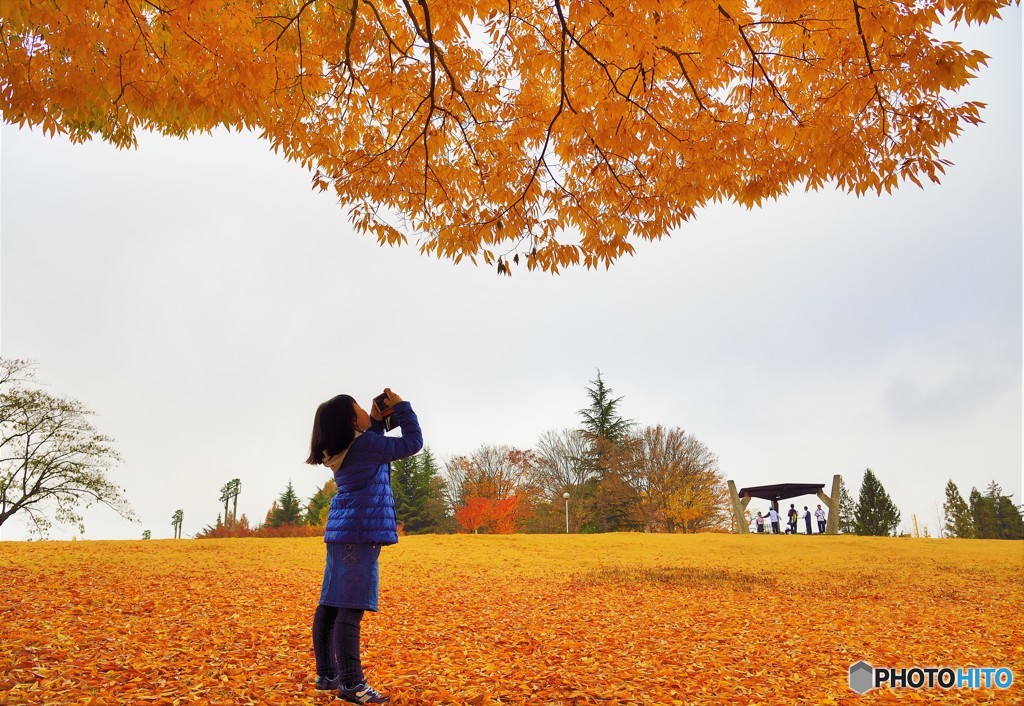 紅葉狩り