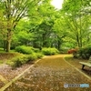 公園のベンチ