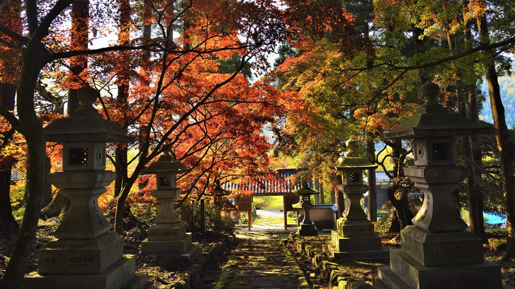 紅葉の参道