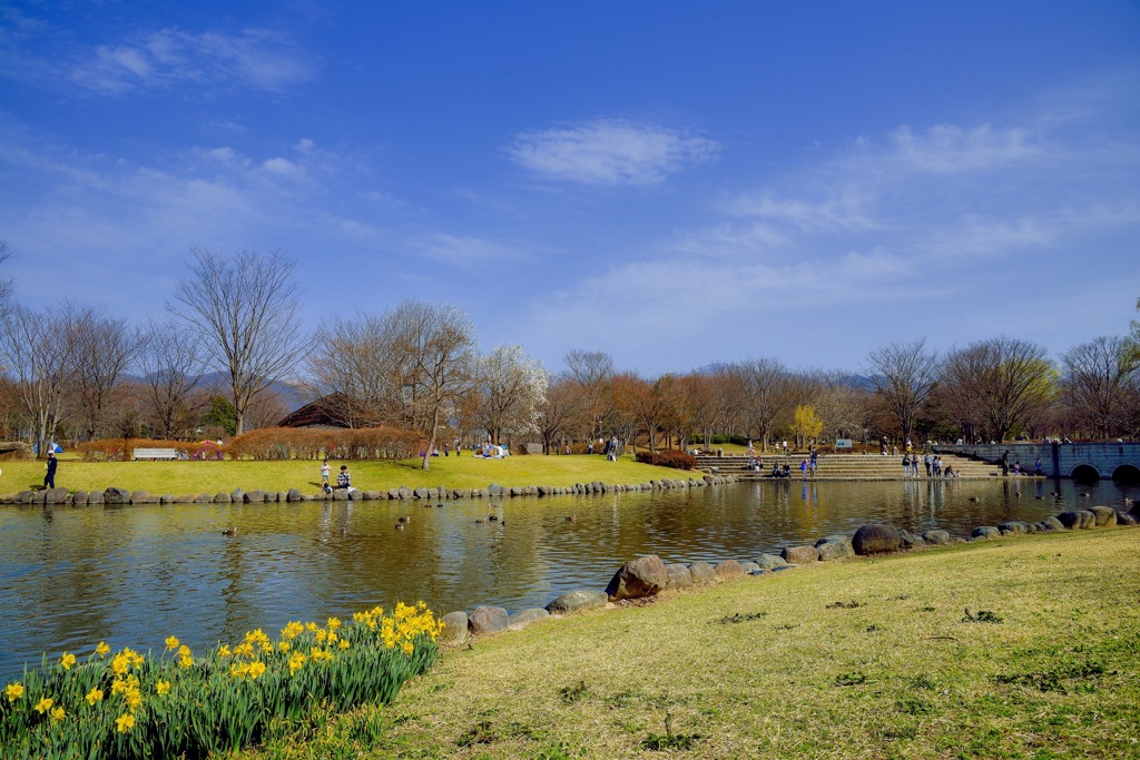 春の公園