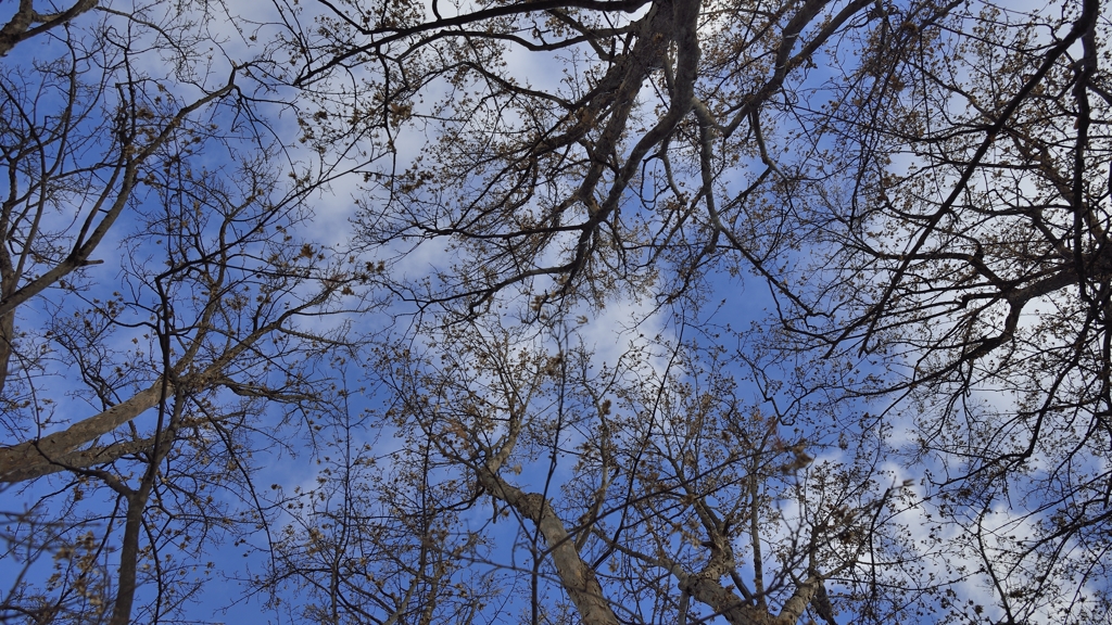 青空