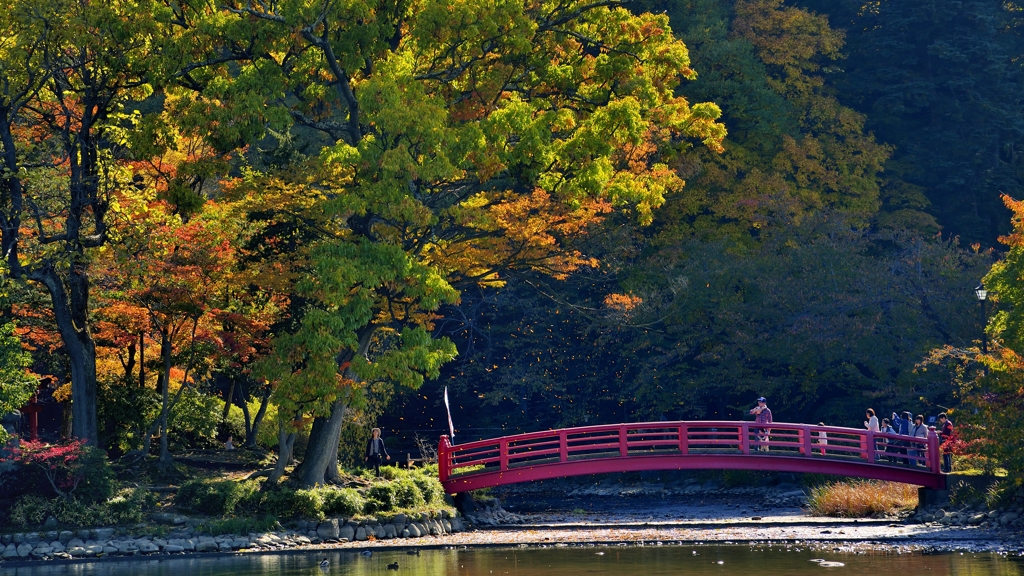 秋の臥竜公園