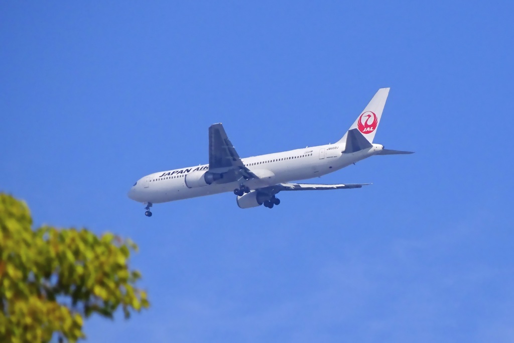 B767-300