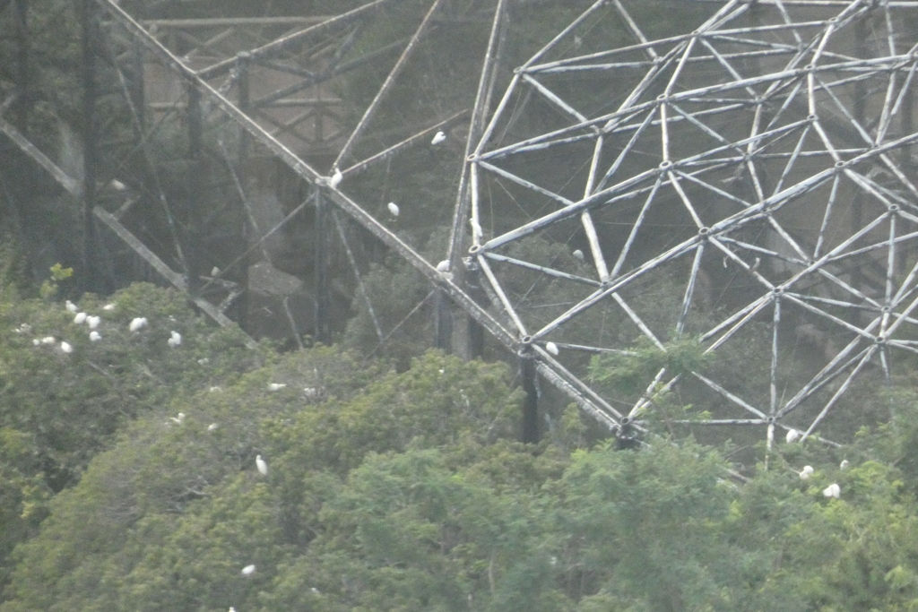 天王寺動物園鳥舎南