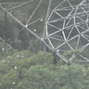 天王寺動物園鳥舎南