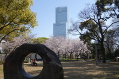 桜要らずの姉妹