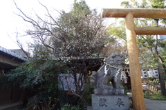 初梅①堀越神社