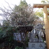 初梅①堀越神社