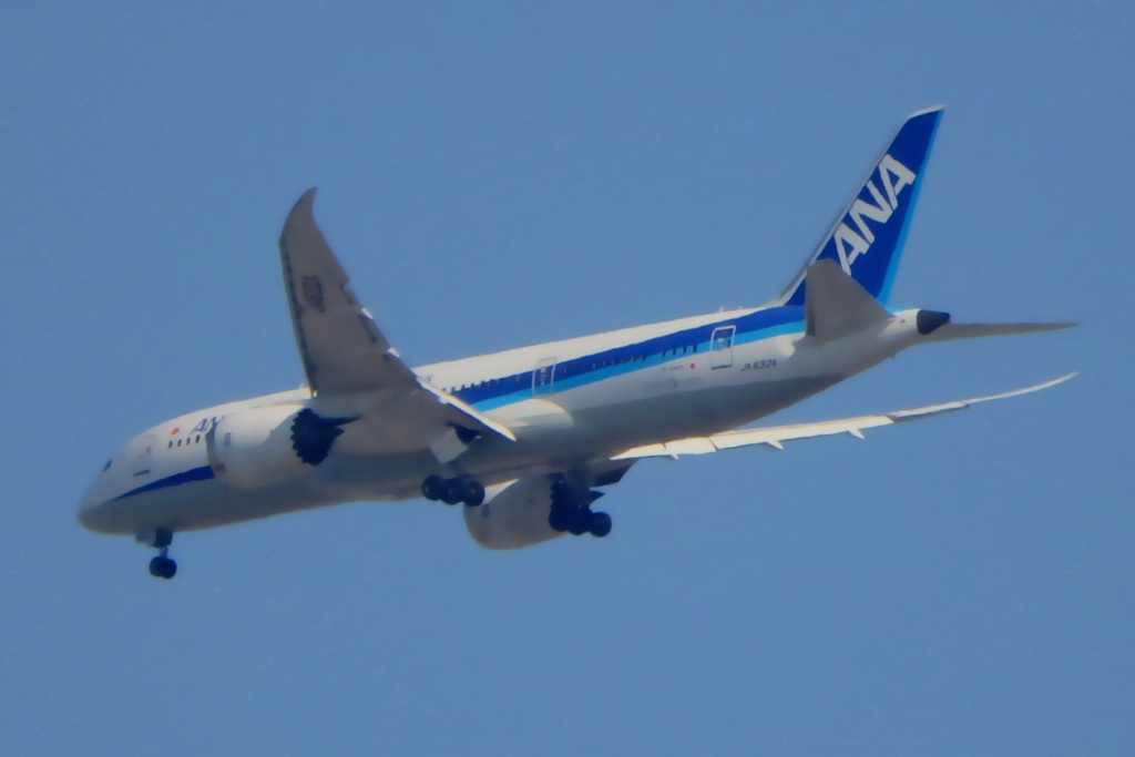 大阪城公園でB787-8