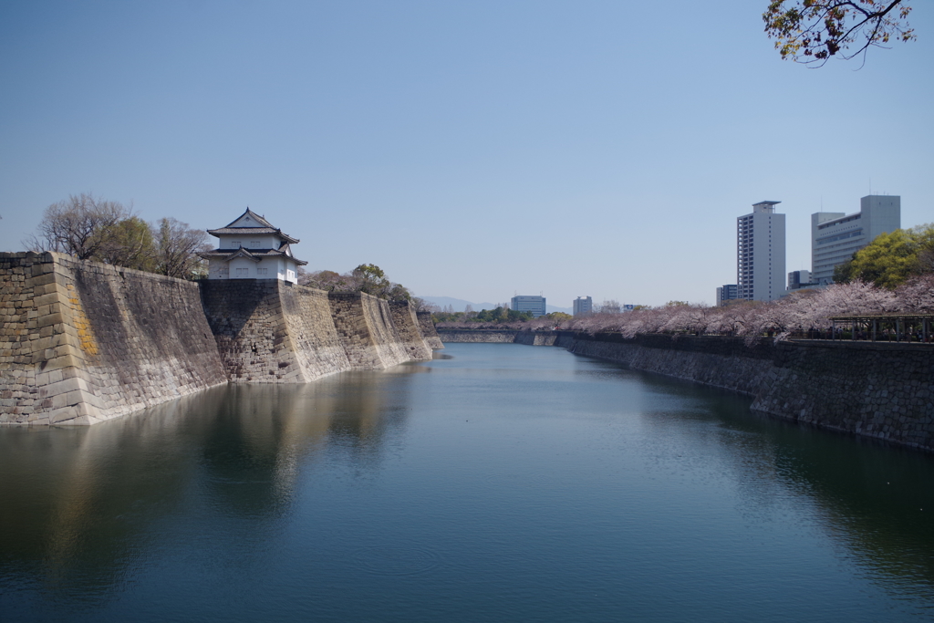一番櫓と染井吉野