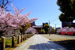 四天王寺東門と参道