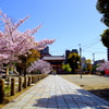 四天王寺東門と参道