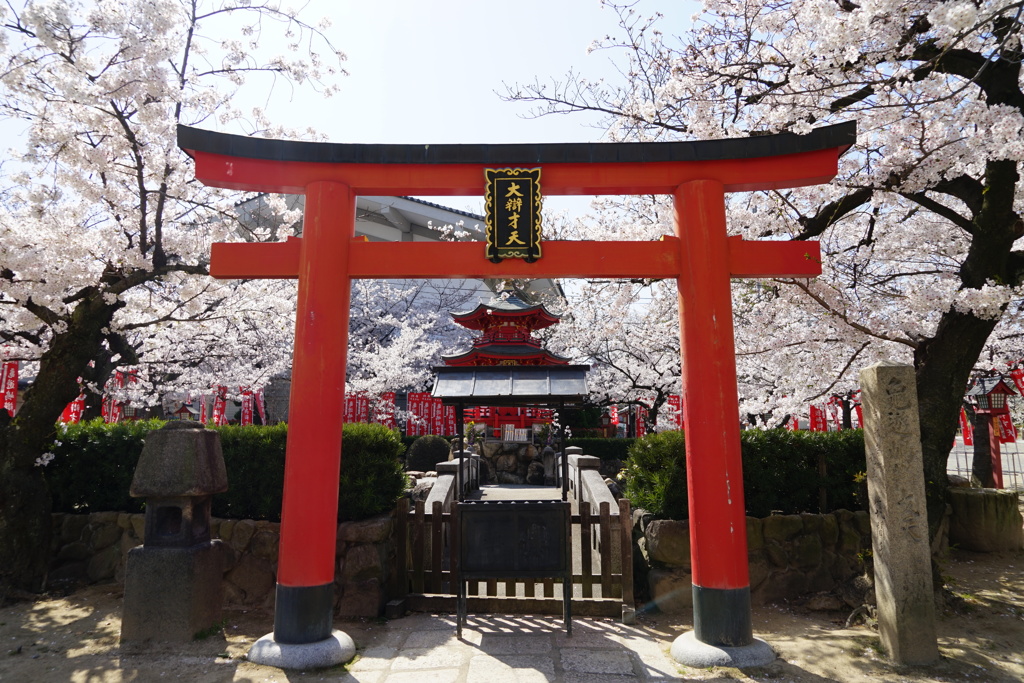辨天堂の鳥居と染井吉野