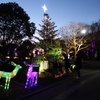 夜間開園～きらめきとかなで～③