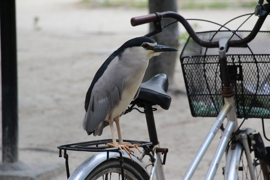 自転車で一休み