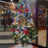 クリスマスツリー
