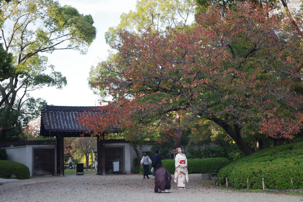 天王寺界隈・秋 ⑧