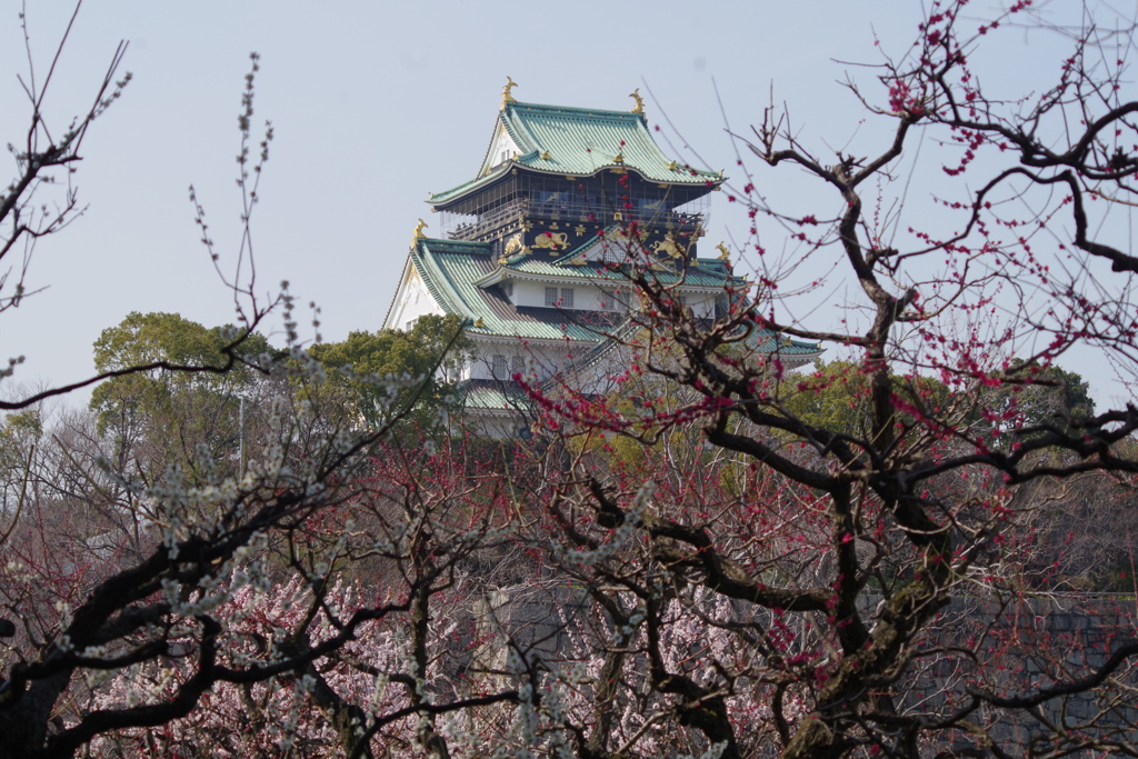 梅天①