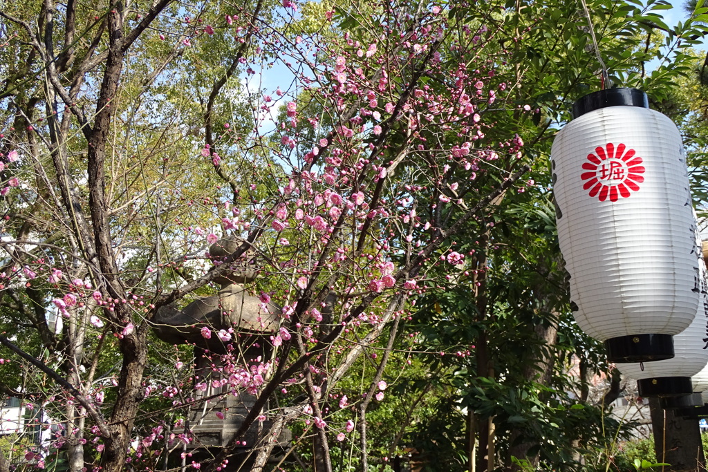 初梅③堀越神社