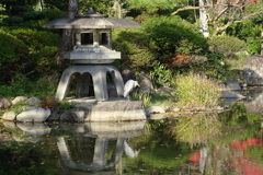 蒼鷺-大阪城庭園