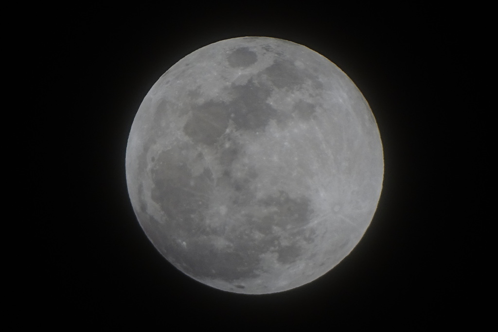 平成三十年一月三十一日①