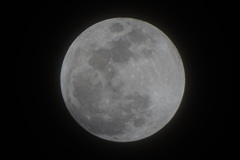 平成三十年一月三十一日①