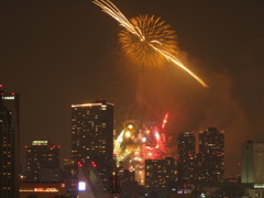 Osaka City HANABI 08