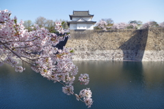 一番櫓と桜