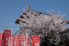 四天王寺亀井堂